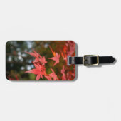 Étiquette À Bagage Balise de bagage Feuilles d'automne (Devant horizontal)