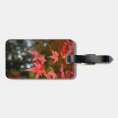 Étiquette À Bagage Balise de bagage Feuilles d'automne (Dos horizontal)
