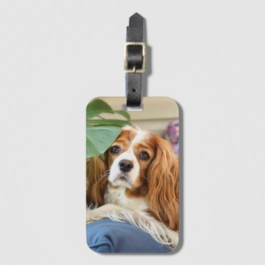 Étiquette À Bagage Balise de bagage King Charles Cavalier (Devant Vertical)