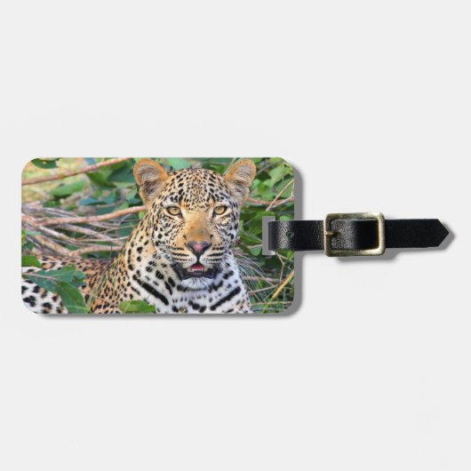 Étiquette À Bagage Balise de bagage Leopard 6 (Devant horizontal)
