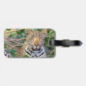 Étiquette À Bagage Balise de bagage Leopard 6 (Dos horizontal)