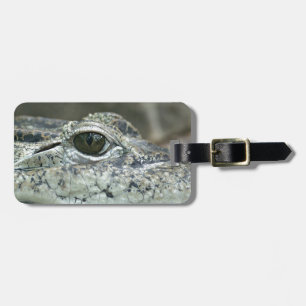 Étiquette À Bagage Balise de bagage oculaire crocodile