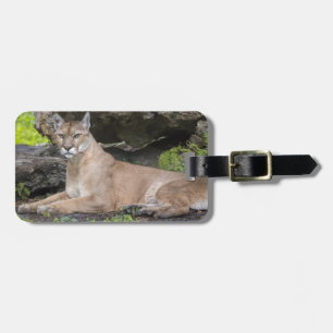 Étiquette À Bagage Balise de bagage Panther en Floride