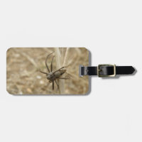 Balise de bagage personnalisée déplaisant Crawly S