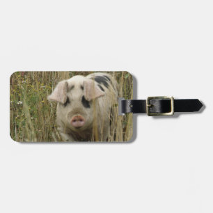 Étiquette À Bagage Balise de bagage personnalisée pour porc mignon