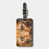 Étiquette À Bagage Balise de bagage personnalisée Staring Cat (Devant Vertical)