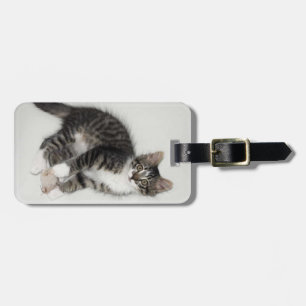 Étiquette À Bagage Balise de bagage pour la souris de Zorro