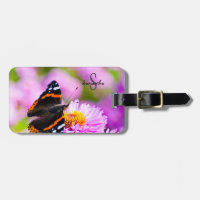 Balise de bagage pour papillon de l'amiral rouge