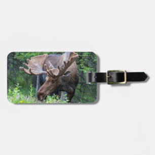 Étiquette À Bagage Balise de bagages d'orignal