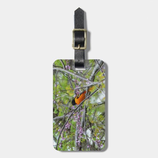 Étiquette À Bagage Baltimore Oriole (Devant Vertical)