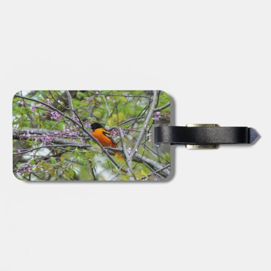 Étiquette À Bagage Baltimore Oriole (Dos horizontal)