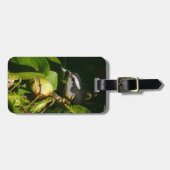 Étiquette À Bagage Bananaquit Bird Mange Photographie tropicale (Devant horizontal)