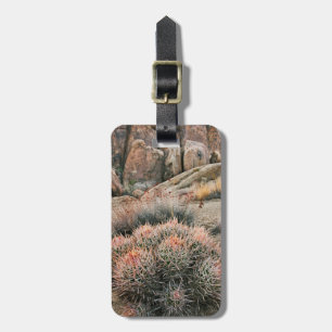 Étiquette À Bagage Baril Cactus En Californie