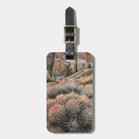 Étiquette À Bagage Baril Cactus En Californie (Devant Vertical)