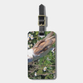 Étiquette À Bagage Barn Owl (Devant Vertical)