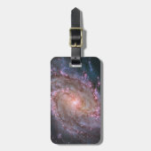 Étiquette À Bagage Barred Spiral Galaxy Messier 83. (Devant Vertical)