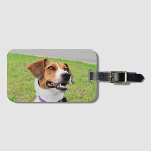 Étiquette À Bagage Beagle (Devant Horizontal)