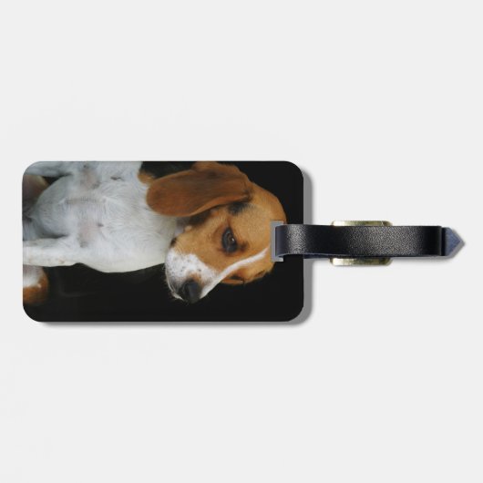 Étiquette À Bagage Beagle classique (Dos horizontal)