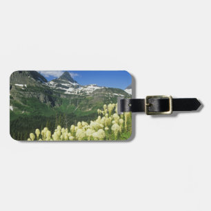 Étiquette À Bagage Beargrass près de Logan Pass dans le parc national