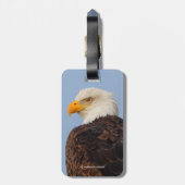 Étiquette À Bagage Beau aigle à tête blanche dans un arbre (Dos Vertical)