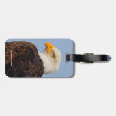 Étiquette À Bagage Beau aigle à tête blanche dans un arbre (Dos horizontal)