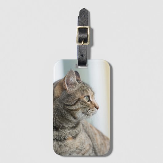 Étiquette À Bagage Beau chat gris (Devant Vertical)