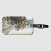 Étiquette À Bagage Beau chat gris (Devant Horizontal)