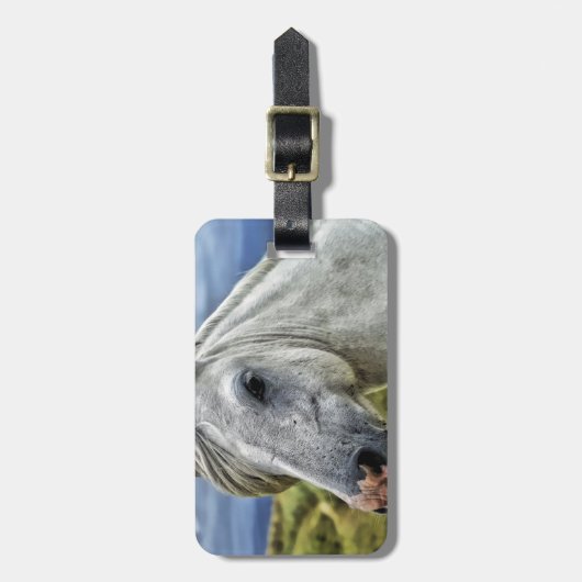 Étiquette À Bagage Beau Cheval (Devant Vertical)