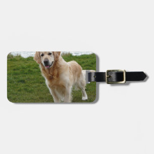 Étiquette À Bagage Beau chien Retriever doré debout