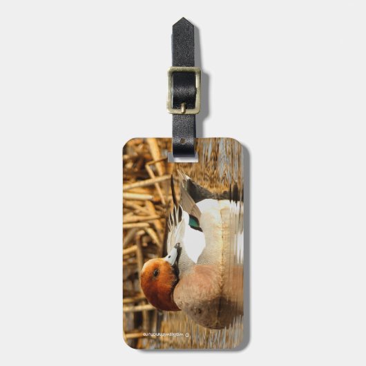 Étiquette À Bagage Beau étranger en ville Eurasian Wigeon (Devant Vertical)