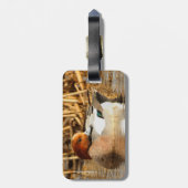 Étiquette À Bagage Beau étranger en ville Eurasian Wigeon (Dos Vertical)