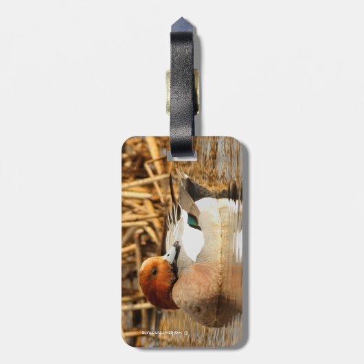 Étiquette À Bagage Beau étranger en ville Eurasian Wigeon (Dos Vertical)
