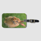 Étiquette À Bagage Beau lapin (Devant Horizontal)