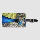 Étiquette À Bagage Beau Peacock (Devant Horizontal)