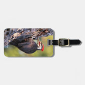 Étiquette À Bagage Beau pic pilé sur l'arbre (Devant horizontal)