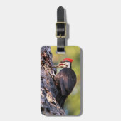 Étiquette À Bagage Beau pic pilé sur l'arbre (Devant Vertical)