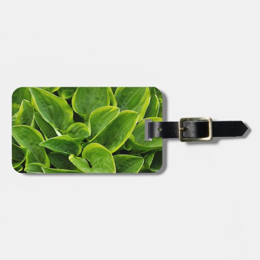 Étiquette À Bagage Beau plante hosta vert (Devant horizontal)