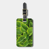 Étiquette À Bagage Beau plante hosta vert (Devant Vertical)