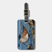 Étiquette À Bagage Beau Sandpiper Dunlin à Spring Beach (Devant Vertical)