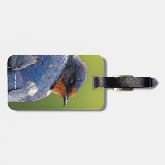 Étiquette À Bagage Beautiful (Dos horizontal)