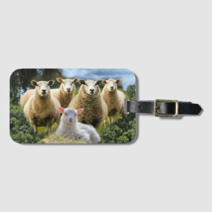 Étiquette À Bagage Bébé agneau mouton troupeau troupeau troupeau