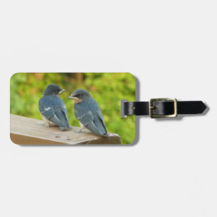 Étiquette À Bagage Bébé Grange hirondelle Nature Oiseau Photographie