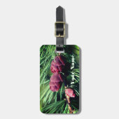 Étiquette À Bagage Bébé Miniature Pine Cônes Nature Personnalisée (Devant Vertical)