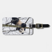 Étiquette À Bagage Bébé Panda dans l'arbre (Devant horizontal)