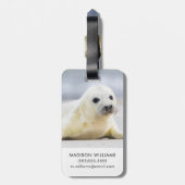 Étiquette À Bagage Bébé phoque des images | de Getty (Dos Vertical)