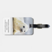 Étiquette À Bagage Bébé phoque des images | de Getty (Dos horizontal)