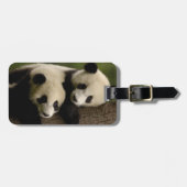 Étiquette À Bagage Bébés panda géants (Ailuropoda melanoleuca) 2 (Devant horizontal)