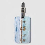 Étiquette À Bagage Bécasseaux fonctionnant le long de la plage (Devant Vertical)