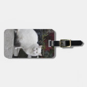 Étiquette À Bagage Belle Chat Blanc Sur Une Grave (Devant horizontal)