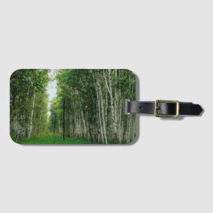 Étiquette À Bagage Belle forêt de bouleaux